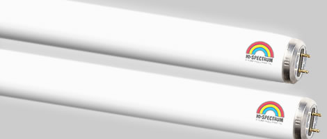 Hi-Spectrum Color Corrected Lamps